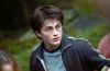 poa-highresolution25.jpg