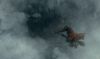 poa-highresolution27.jpg