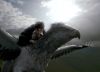 poa-highresolution28.jpg