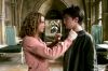 poa-highresolution50.jpg