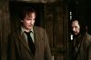 poa-highresolution5_.jpg