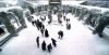 poa-highresolution65.jpg