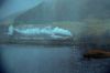poa-highresolution68.jpg