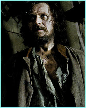 ____6_681_sirius.jpg ____6_681_sirius.jpg