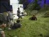 poadirectv167.jpg