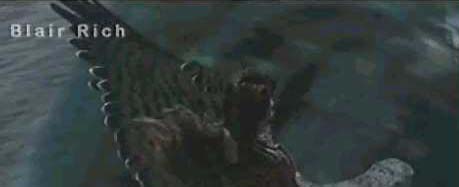 newpoatrailer5.jpg newpoatrailer5.jpg