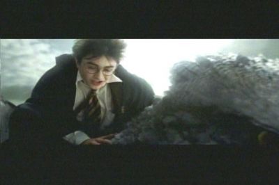 Click to view full size image
==============
harryonbuckbeak.jpg harryonbuckbeak.jpg