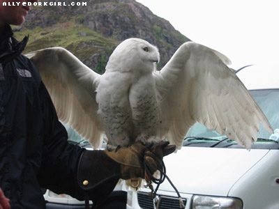 glencoe01.jpg glencoe01.jpg