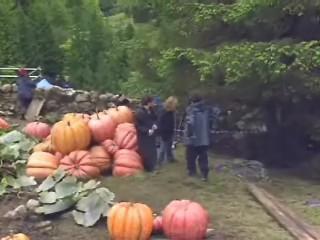 bscap08_~0.jpg bscap08_~0.jpg