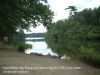 virginiawaters08.jpg