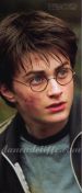 Harry close.jpg