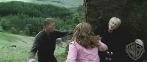 161.jpg