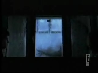 bscap_81.jpg
