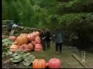 bscap01_.jpg bscap01_.jpg
