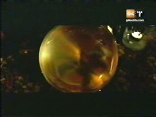 potterish_g4_tv__0077.jpg potterish_g4_tv__0077.jpg
