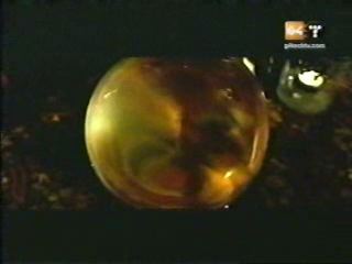 potterish_g4_tv__0086.jpg
