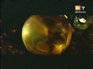 potterish_g4_tv__00_2~0.jpg