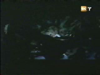 potterish_g4_tv__0177.jpg
