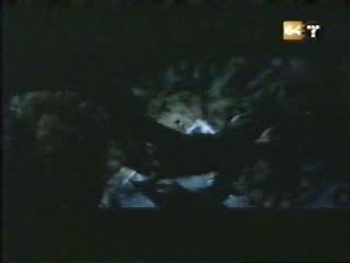potterish_g4_tv__0181.jpg