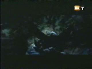 potterish_g4_tv__0185.jpg