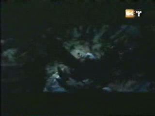 potterish_g4_tv__0186.jpg potterish_g4_tv__0186.jpg