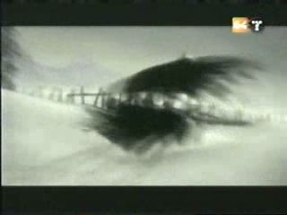potterish_g4_tv__0278.jpg