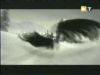 potterish_g4_tv__0275.jpg