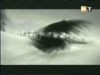 potterish_g4_tv__0278.jpg