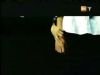 potterish_g4_tv__5846.jpg