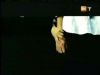 potterish_g4_tv__5847.jpg