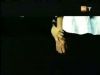 potterish_g4_tv__5848.jpg