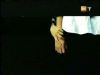 potterish_g4_tv__5852.jpg
