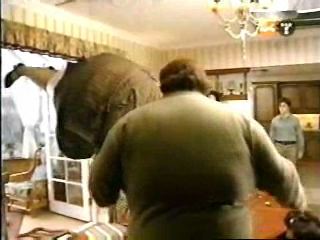 potterish_g4_tv__618_~0.jpg