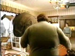 potterish_g4_tv__61_0~0.jpg potterish_g4_tv__61_0~0.jpg