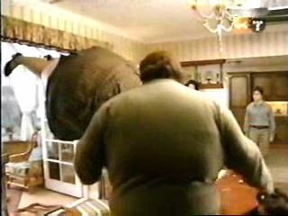 potterish_g4_tv__61__~1.jpg