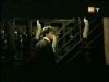 potterish_g4_tv__6020.jpg