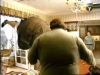 potterish_g4_tv__618_~0.jpg