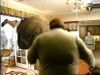 potterish_g4_tv__61_0~0.jpg