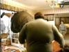 potterish_g4_tv__61_7~0.jpg