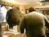 potterish_g4_tv__6224.jpg
