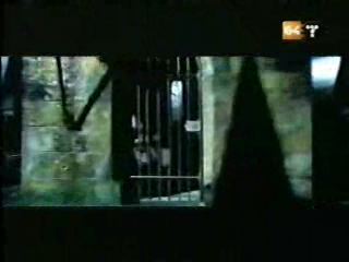 potterish_g4_tv__65_0.jpg potterish_g4_tv__65_0.jpg