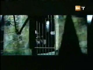 potterish_g4_tv__65_2.jpg potterish_g4_tv__65_2.jpg