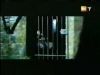 potterish_g4_tv__6541.jpg