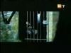potterish_g4_tv__6542.jpg
