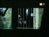 potterish_g4_tv__6545.jpg