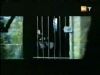 potterish_g4_tv__6546.jpg