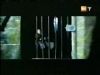 potterish_g4_tv__6547.jpg
