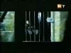 potterish_g4_tv__6548.jpg