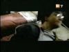 potterish_g4_tv__6612.jpg