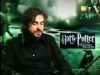 potterish_g4_tv__6_80.jpg